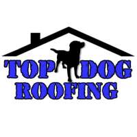 Top dog roofing