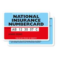 National insurance replacement services - nirs