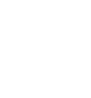 Typischroos