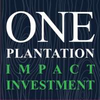 One plantation capital pte ltd