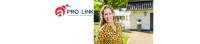 Pro-link executive search, inc
