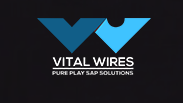 VitalWires Consulting