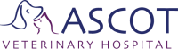 Ascot veterinary hospital