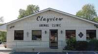 Clayview animal clinic
