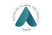 Four paws australia