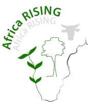 Africa rising