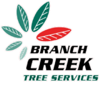 Branch creek tree services