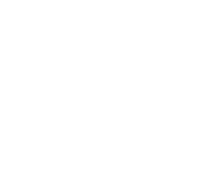 Basil hetzel institute for translational health research