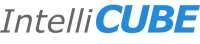 Intellicubes, inc.