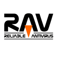 Rav investigative & security services