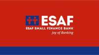 Esaf Financial Holdings