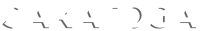 Saratoga technologies