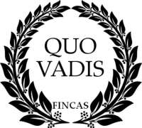 Www.quovadisfincas.com