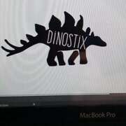 Di-nostix