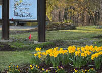 Morris county farms, inc.