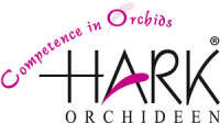 Hark orchideen