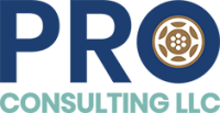 Pro consulting srl