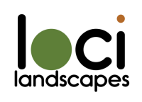 Van diemens landscapes