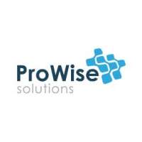 Prowise solutions inc