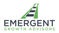 Emergent- strategic advisory and leadership development