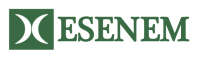 Esenem accountants