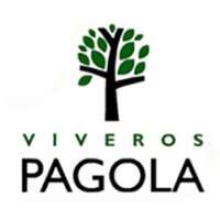 Viveros pagola mintegiak