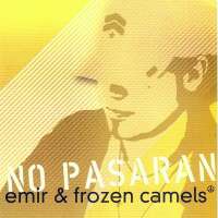 Rock band emir & frozen camels