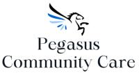 Pegasus resourcing (pty) ltd