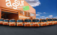 Gruas assur