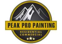 Peak professional contractors