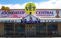 Joondalup central veterinary hospital