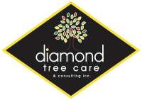 Diamond tree care & consulting inc.