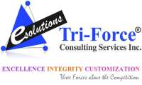 Triforce staffing