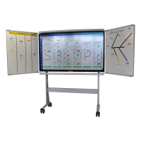 Digital Visual Management Systems and Consulting Inc.