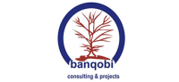 Banqobi consulting & projects