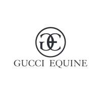 Gucci Equine - Horses For Sale in USA