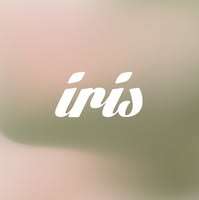Iris Tattoo & Piercings Miami