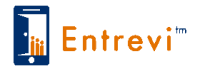 Entrevi Solutions, Inc
