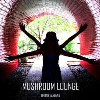 Mushroom lounge recordings