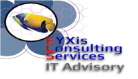 Fyxis consulting services (it & hr advisory)