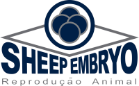 Sheep embryo - reprodução animal