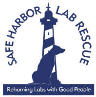 Rescue lab