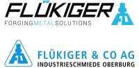 Hosp and Fluckiger AG