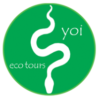 Yoi ecotours