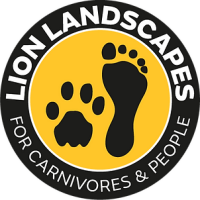 Lion landscapes