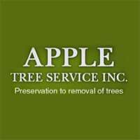 Apple tree services