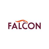 Falcon perspectives, inc.