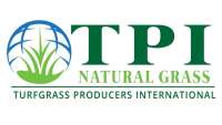 Atlas turf international