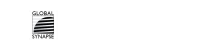 Global synapse technologies