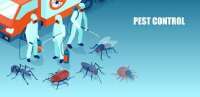 California Pest Control